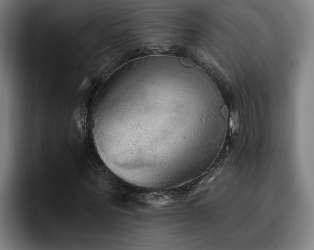 X0000093500867200710121511