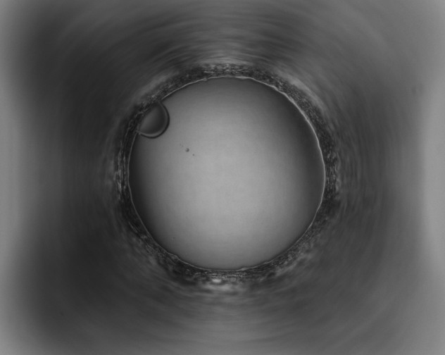 X0000093500870200710121511