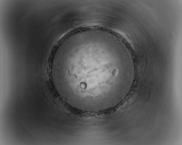 X0000093500871200710121511