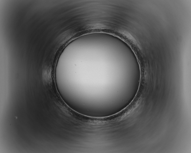 X0000093500873200710121511