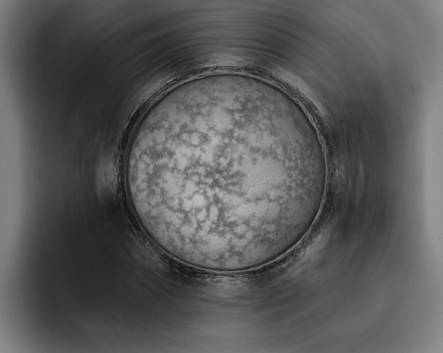 X0000093500874200710121511
