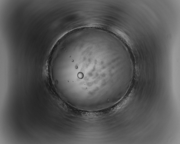 X0000093500875200710121511