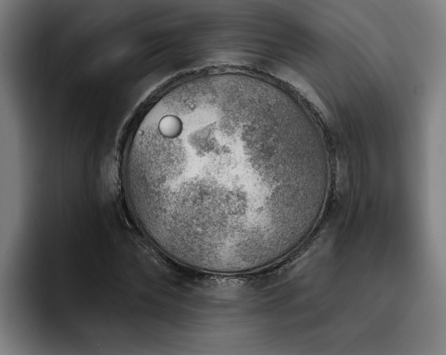 X0000093500878200710121511