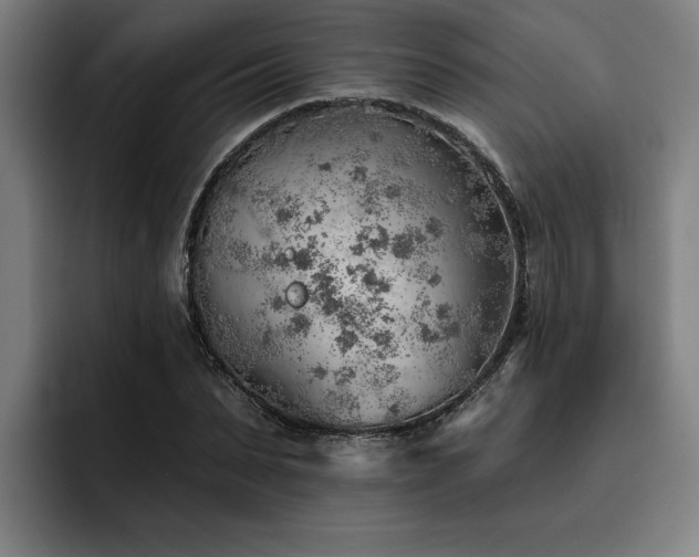X0000093500879200710121511