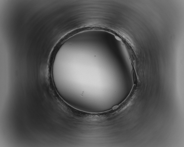 X0000093500880200710121511