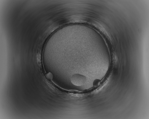 X0000093500881200710121511