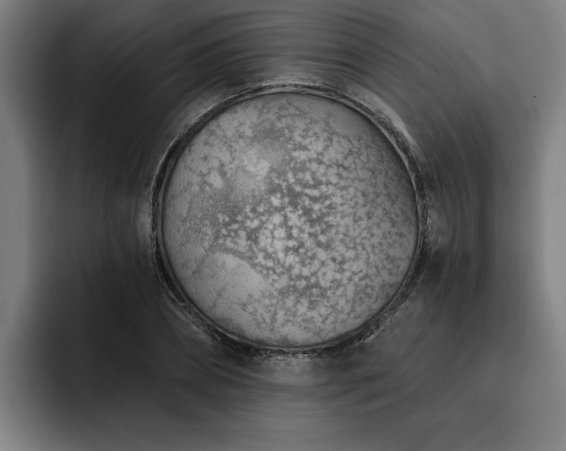 X0000093500882200710121511
