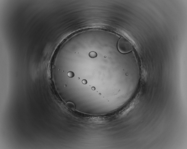 X0000093500883200710121511