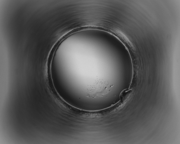 X0000093500884200710121511