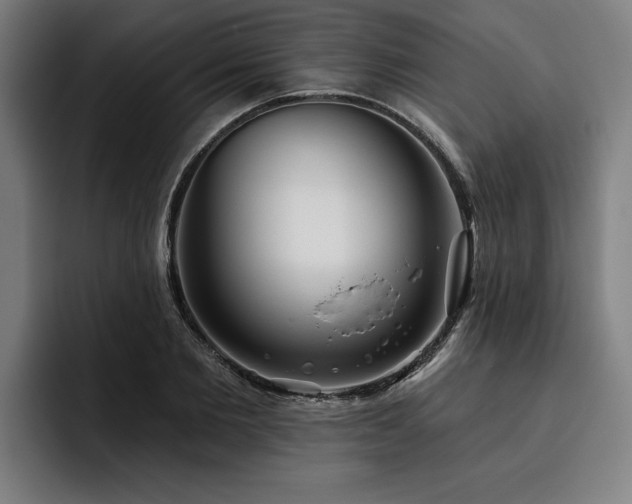 X0000093500885200710121511