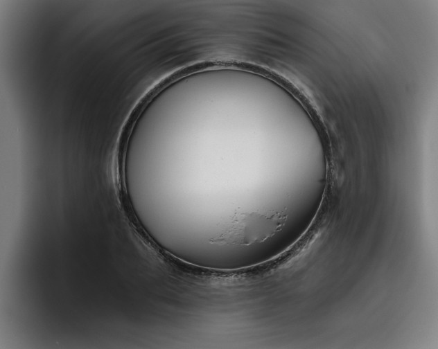 X0000093500887200710121511