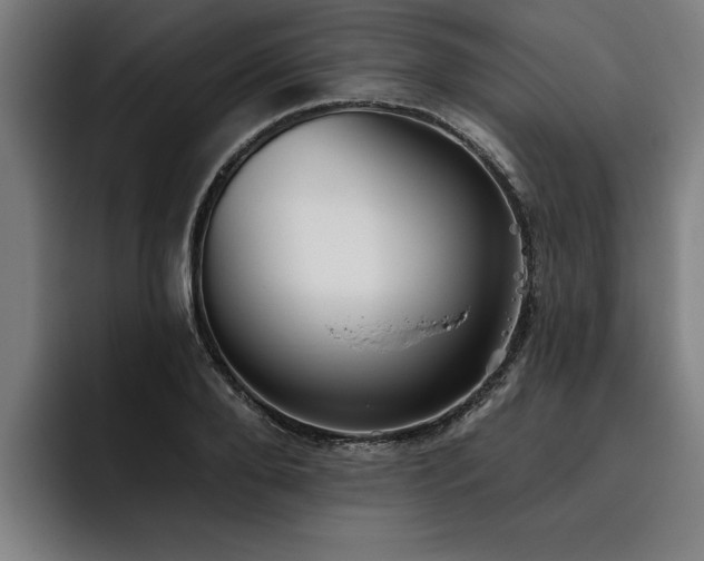 X0000093500888200710121511