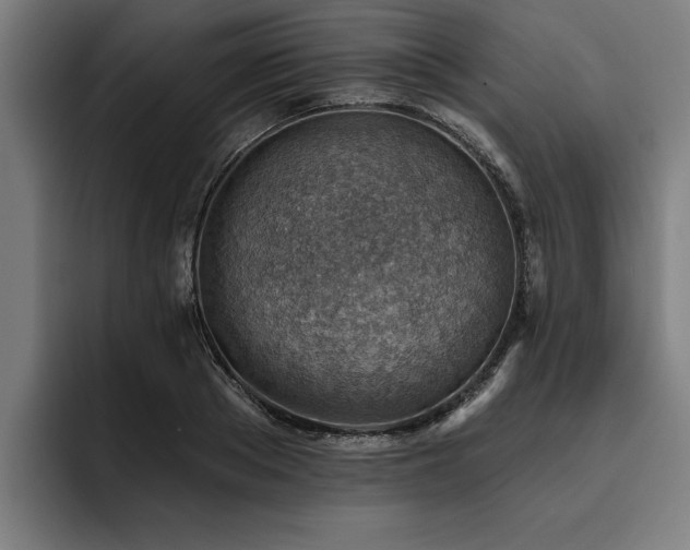X0000093500889200710121511