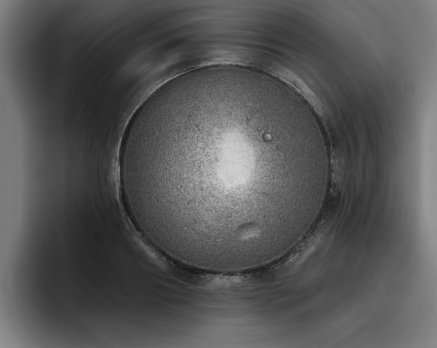 X0000093500890200710121511
