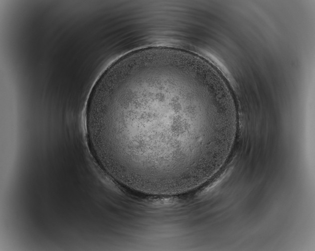 X0000093500891200710121511