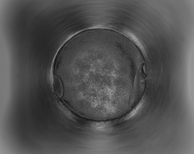X0000093500892200710121511