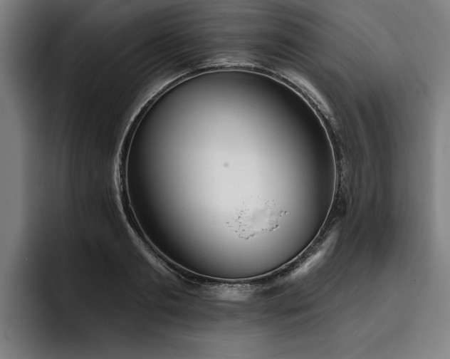 X0000093500893200710121511