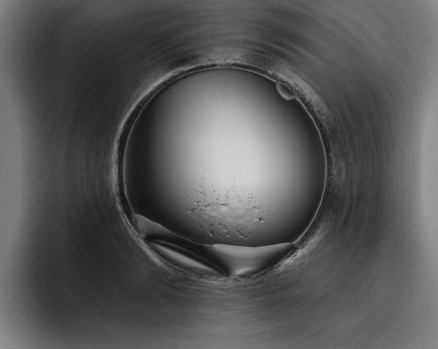 X0000093500894200710121511