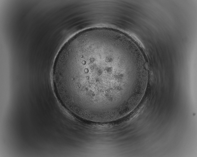 X0000093500895200710121511