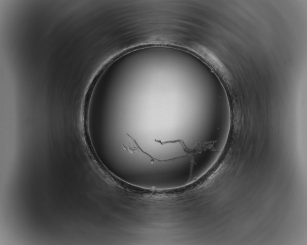 X0000093500896200710121511