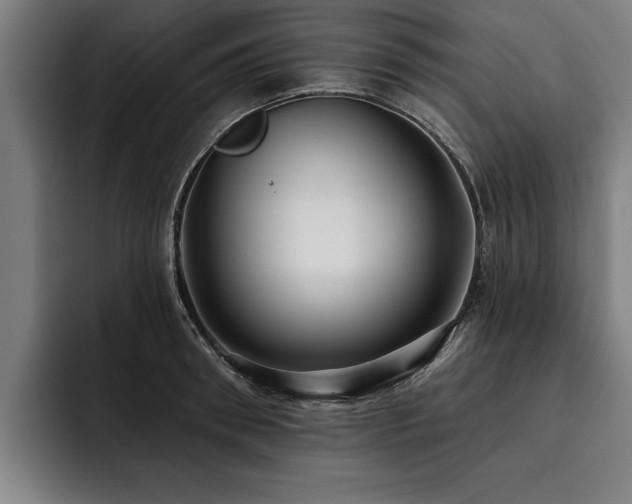 X0000093500898200710121511