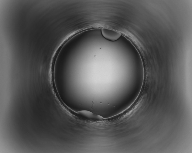 X0000093500902200710121511