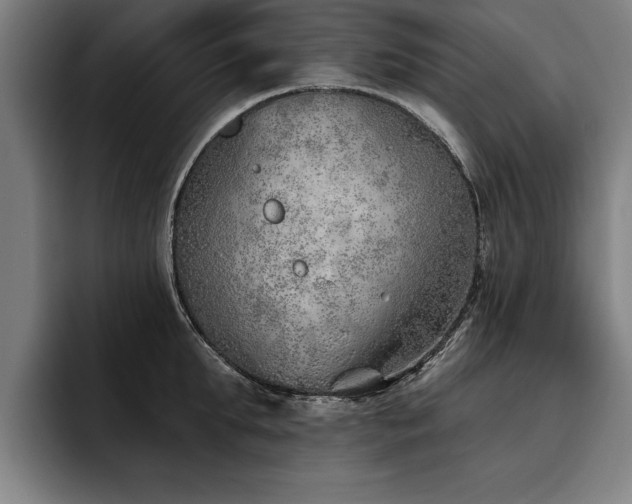 X0000093500903200710121511