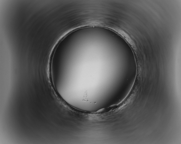 X0000093500904200710121511