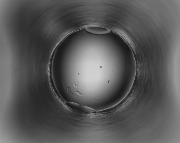 X0000093500906200710121511