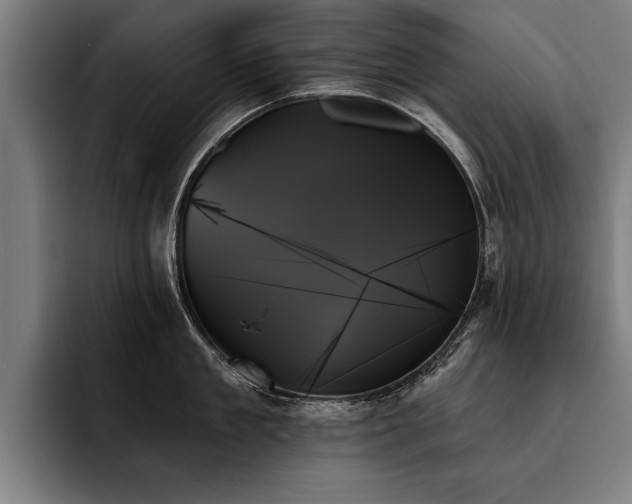 X0000093500909200710121511