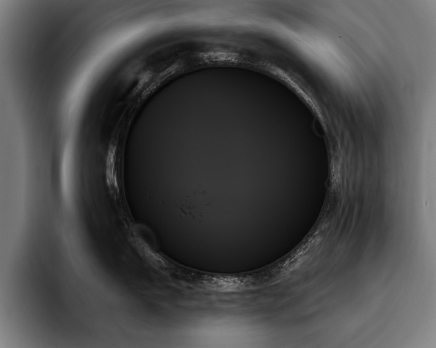 X0000093500911200710121511