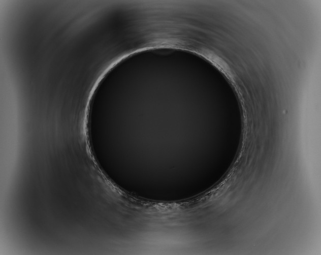 X0000093500912200710121511