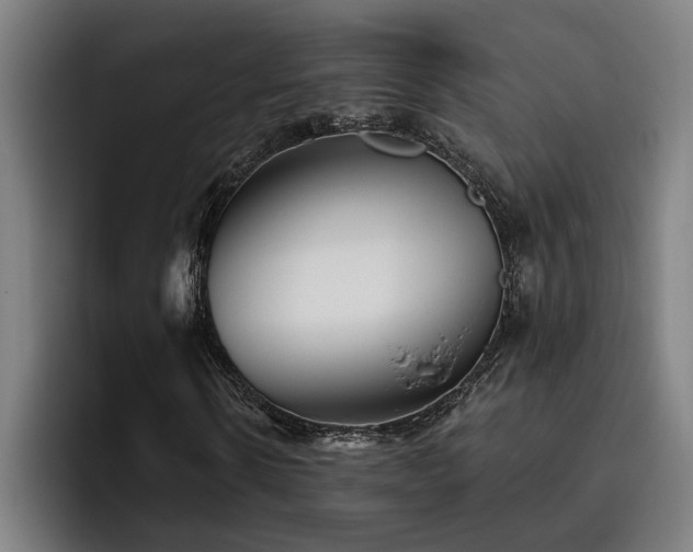 X0000093500914200710121510