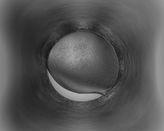 X0000093500916200710121510