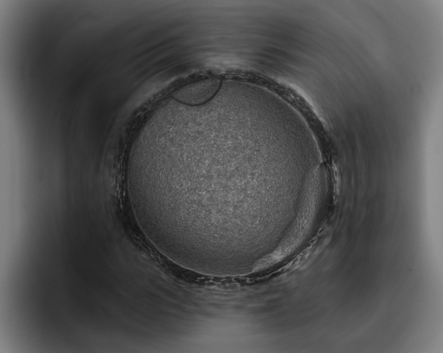 X0000093500919200710121510