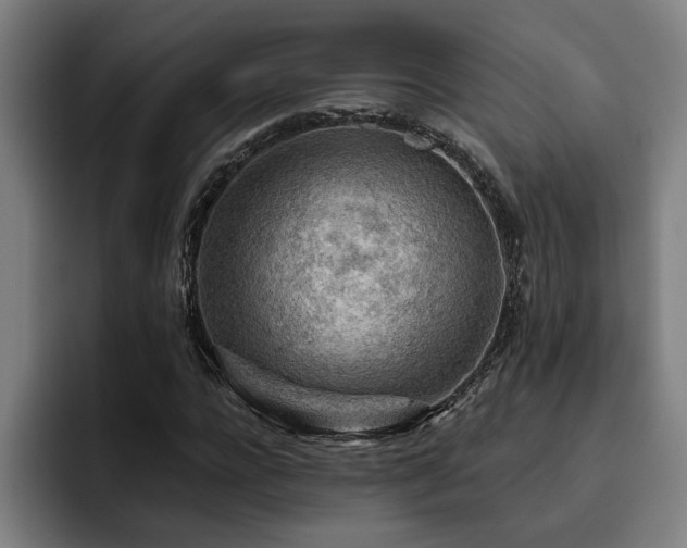 X0000093500920200710121510