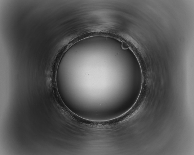 X0000093500922200710121510