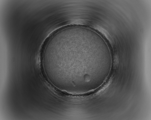 X0000093500923200710121510