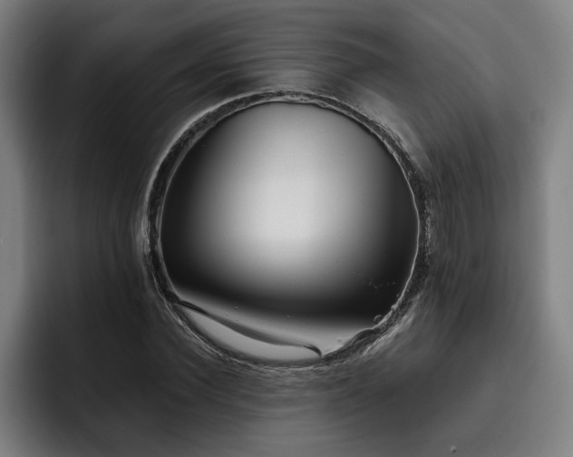 X0000093500924200710121510