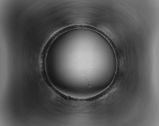 X0000093500926200710121510