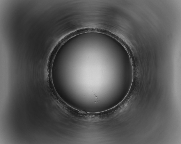 X0000093500927200710121510
