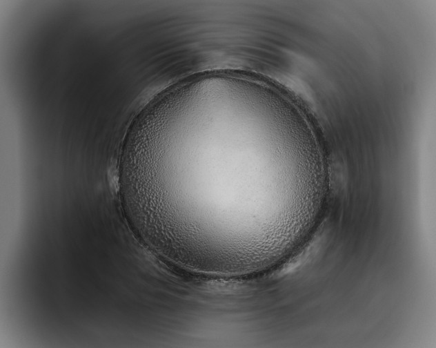 X0000093500929200710121510