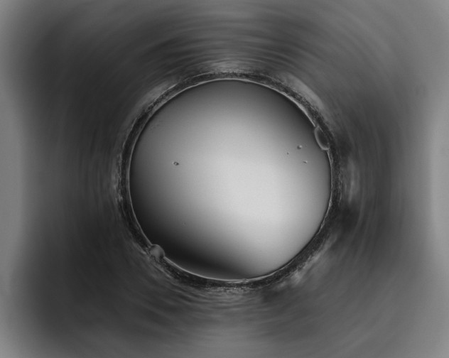 X0000093500930200710121510