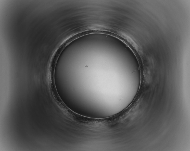 X0000093500931200710121510