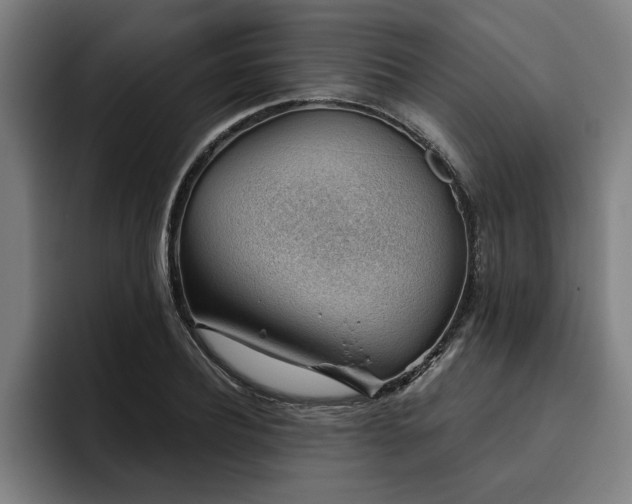 X0000093500932200710121510