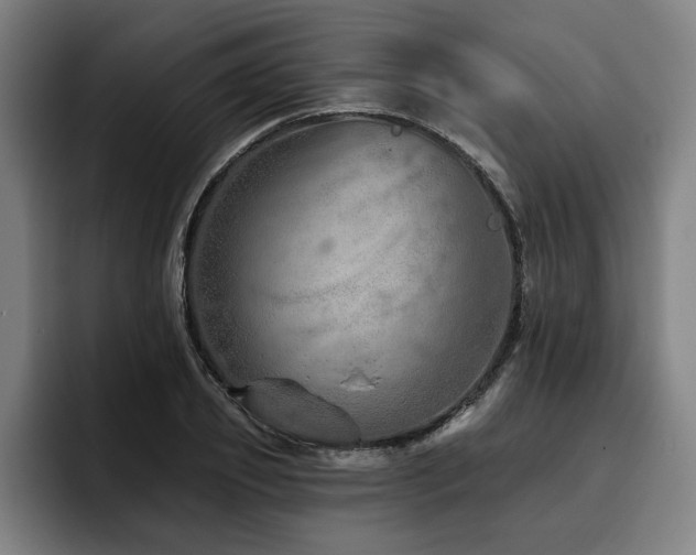 X0000093500933200710121510