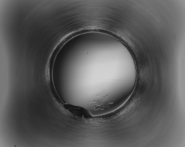 X0000093500934200710121510