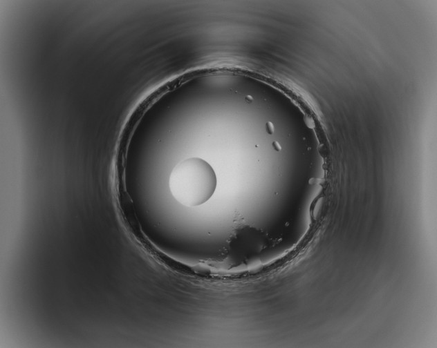 X0000093500936200710121511