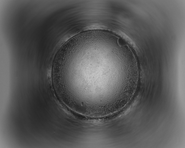 X0000093500937200710121511