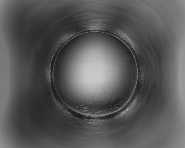 X0000093500938200710121511